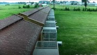 Gołębie  Popowo k.Grajewa      (woj Podlaskie)       kamera 1