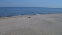 Jastrzębia Góra - widok na plażę