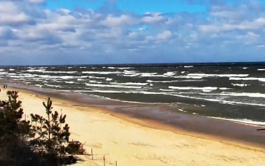 Krynica Morska - plaża