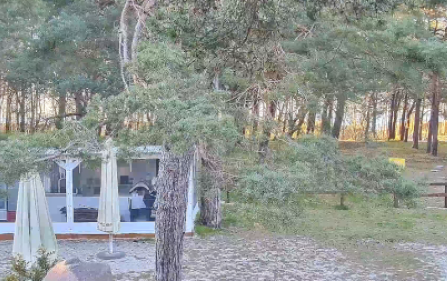 Niechorze - Chimera Medical SPA